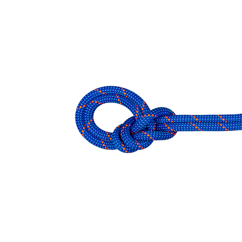 Mammut 9.5 Crag Dry Rope 60m