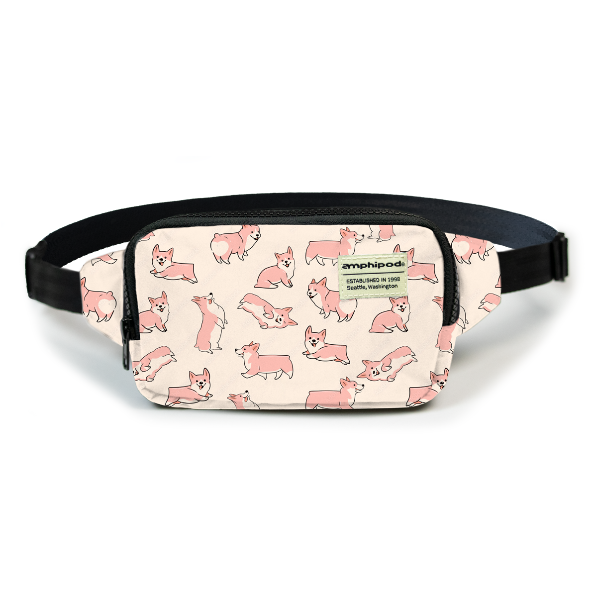 Amphipod R3 Espress Convertible Pack