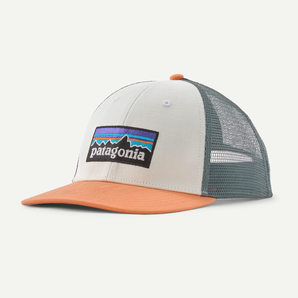 Patagonia P-6 Logo LoPro Trucker Hat