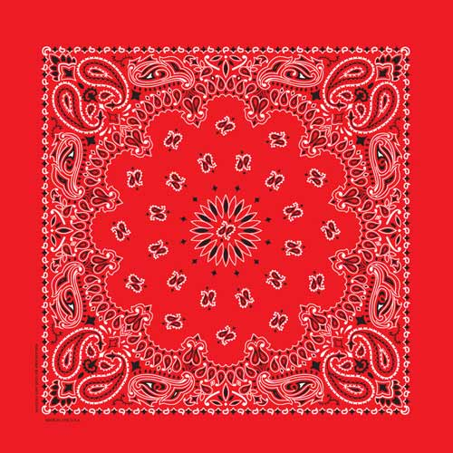 Hav-A-Hank Bandana