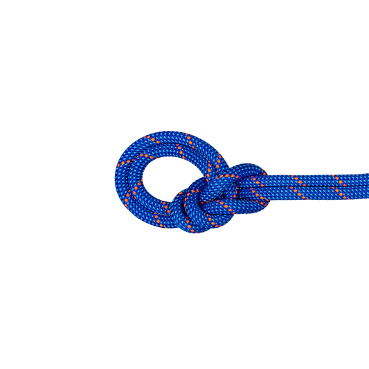 Mammut 9.5 Crag Dry Rope 60m