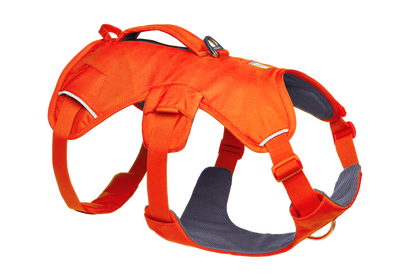 Ruffwear WebMaster Harness