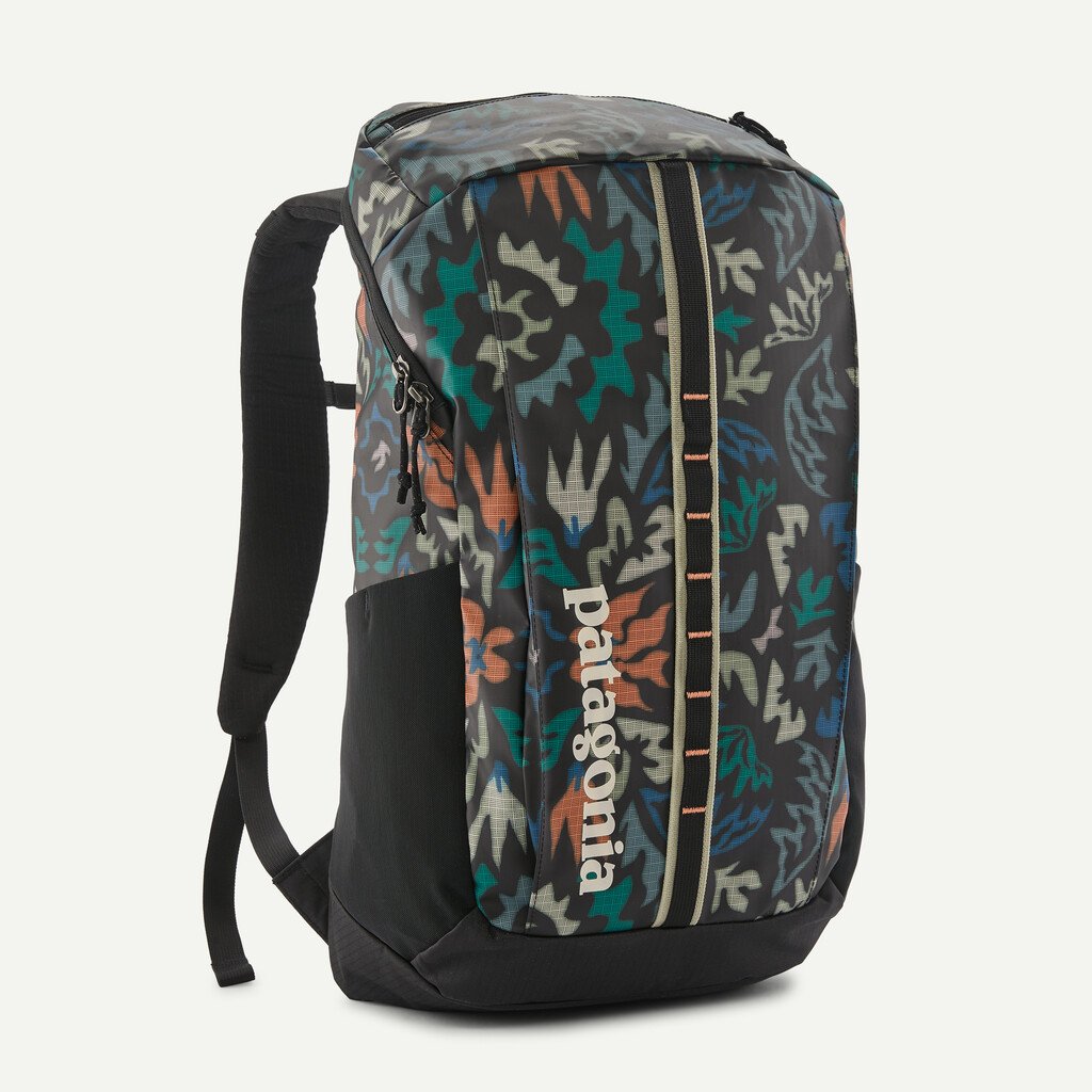 Patagonia Black Hole Pack 25L