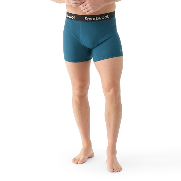 Smartwool Men's Active Boxer Brief