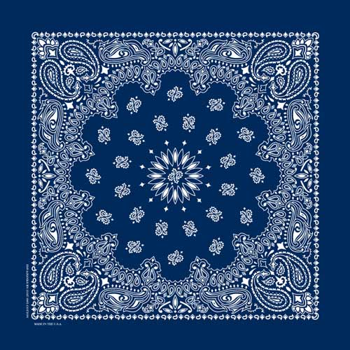 Hav-A-Hank Bandana