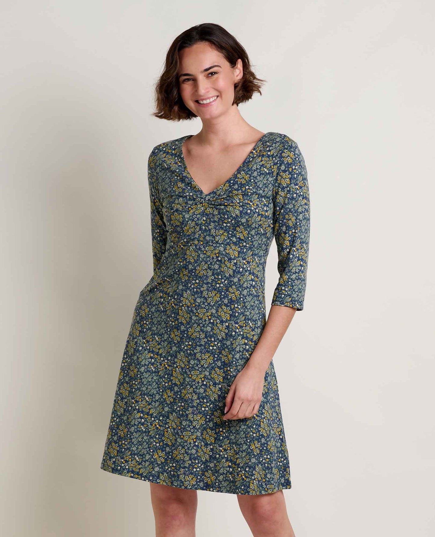 Toad & Co Rosalinda Dress