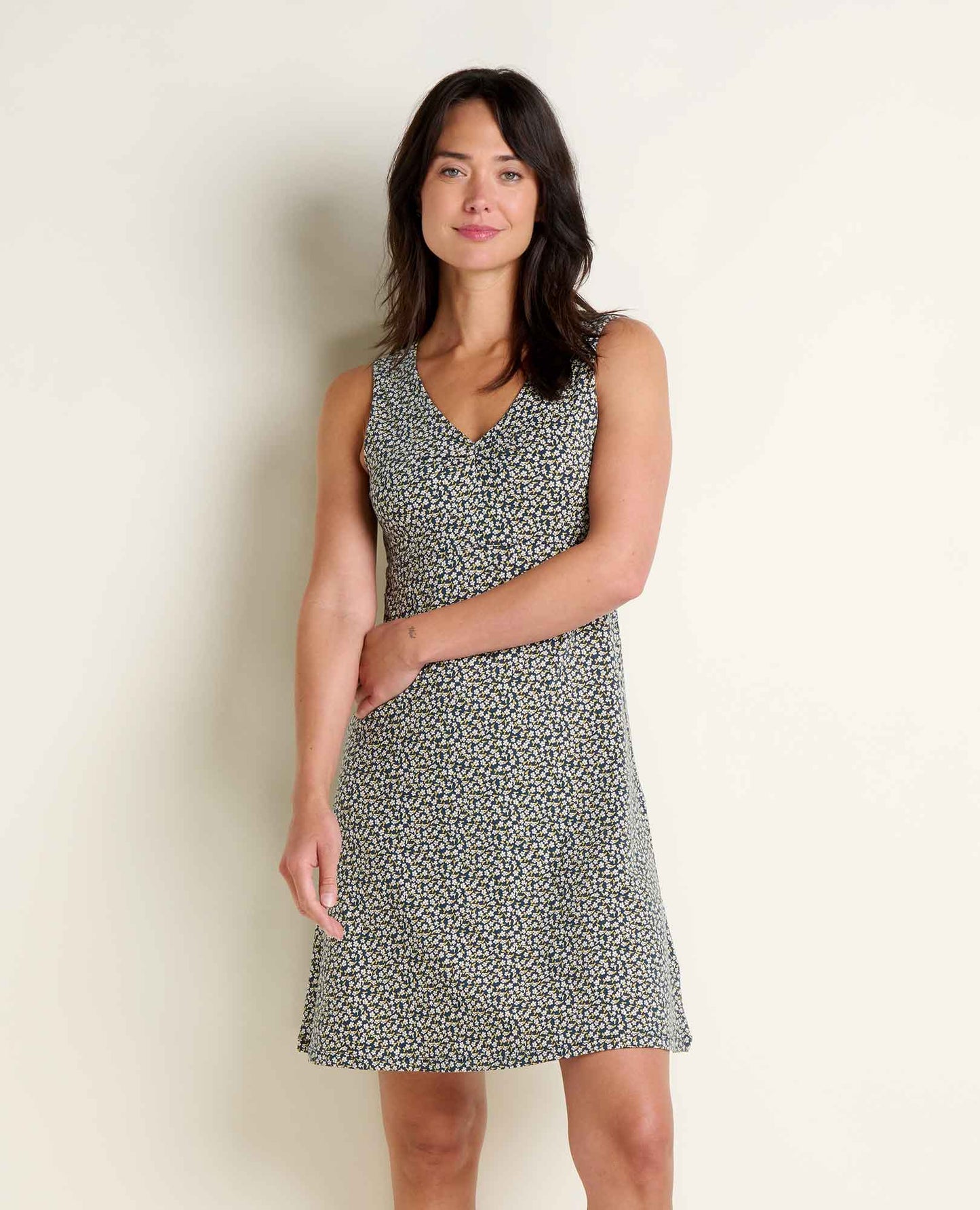 Toad & Co Rosemarie Tank Dress