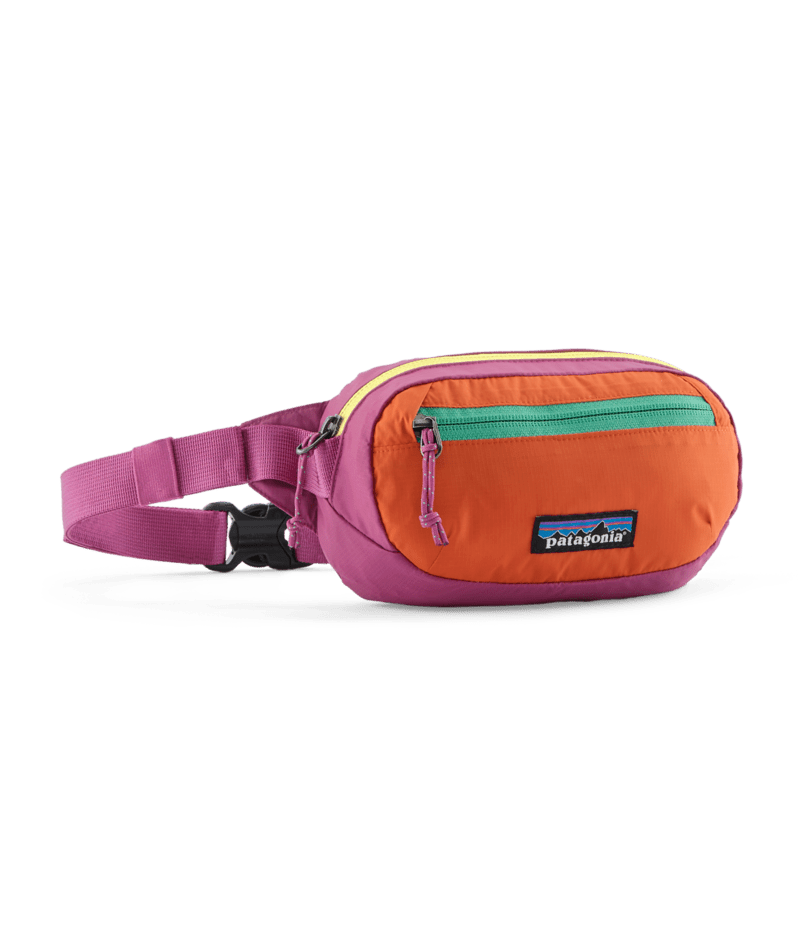 Patagonia Terravia Mini Hip Pack 1L