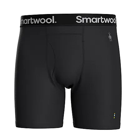 Smartwool Merino Everyday Boxer Brief - Men's