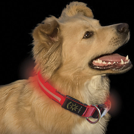 NiteIze Nite Dawg Collar