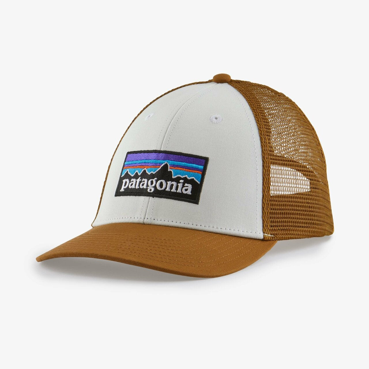 Patagonia P-6 LoPro Trucker